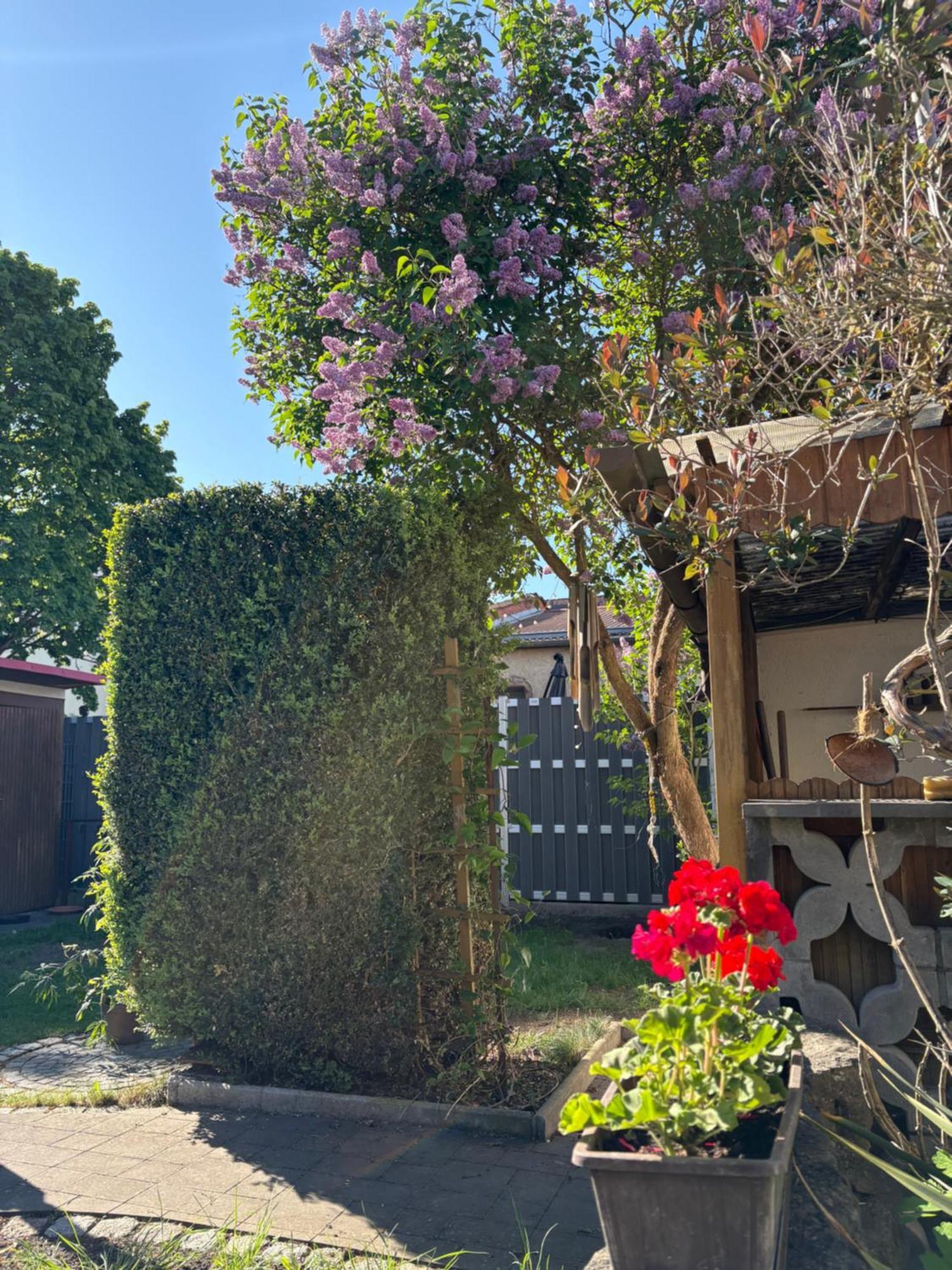 Haus Hannah Meiningen Exteriör bild